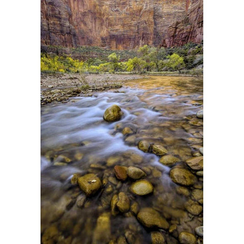 USA, Utah, Zion NP Stream in autumn scenic White Modern Wood Framed Art Print by OBrien, Jay