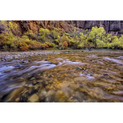 USA, Utah, Zion NP Stream in autumn scenic Gold Ornate Wood Framed Art Print with Double Matting by OBrien, Jay