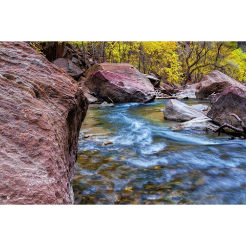 USA, Utah, Zion NP Stream in autumn landscape Gold Ornate Wood Framed Art Print with Double Matting by OBrien, Jay