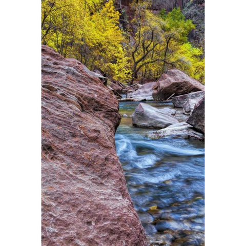 USA, Utah, Zion NP Stream in autumn landscape Black Modern Wood Framed Art Print with Double Matting by OBrien, Jay