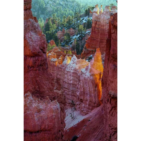 USA, Utah, Bryce Canyon NP Close-up of hoodoos Gold Ornate Wood Framed Art Print with Double Matting by OBrien, Jay