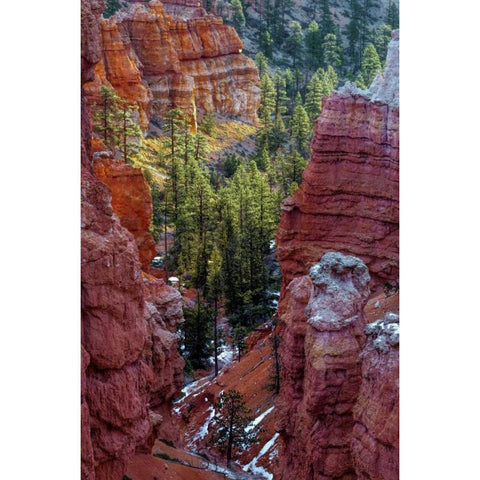 USA, Utah, Bryce Canyon NP Close-up of hoodoos Black Modern Wood Framed Art Print with Double Matting by OBrien, Jay