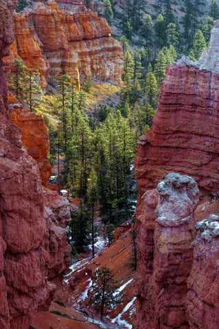 USA, Utah, Bryce Canyon NP Close-up of hoodoos Black Ornate Wood Framed Art Print with Double Matting by OBrien, Jay
