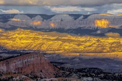 Utah, Bryce Canyon Sunrise contrasts on canyon Black Ornate Wood Framed Art Print with Double Matting by OBrien, Jay