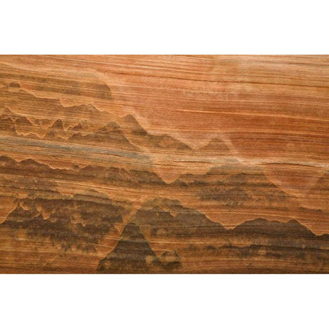 USA, Utah Desert varnish stain on sandstone wall Black Modern Wood Framed Art Print with Double Matting by Paulson, Don