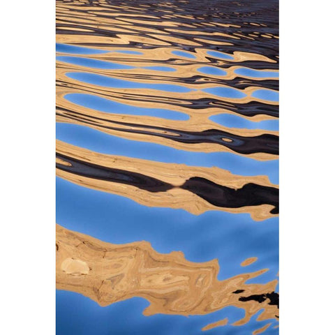 Utah, Glen Canyon NRA Boat wake patterns Black Modern Wood Framed Art Print by Paulson, Don