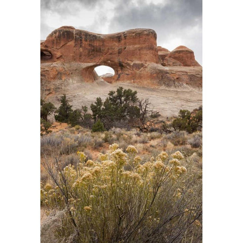 USA, Utah, Arches NP Scenic of Tunnel Arch Black Modern Wood Framed Art Print by Illg, Cathy and Gordon