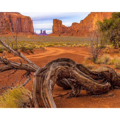 Utah-Monument Valley Landscape and dead tree  Black Modern Wood Framed Art Print by Jaynes Gallery