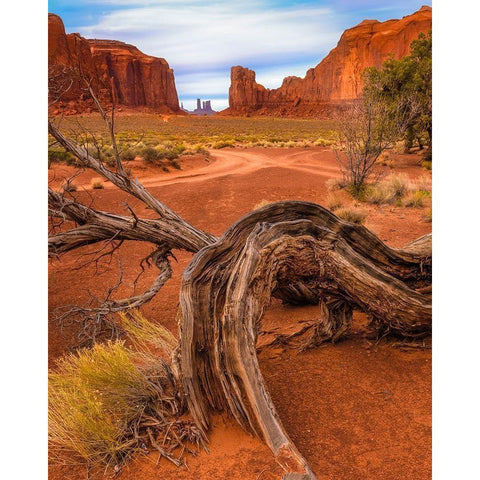 Utah-Monument Valley Landscape and dead tree  Black Modern Wood Framed Art Print by Jaynes Gallery