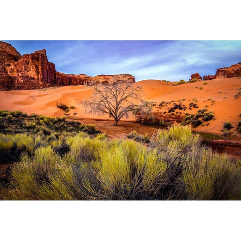 Utah-Monument Valley Landscape and dead tree  Black Modern Wood Framed Art Print by Jaynes Gallery