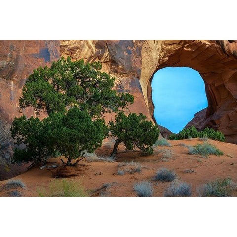 Utah-Monument Valley Landscape with sandstone formations and trees  Black Modern Wood Framed Art Print by Jaynes Gallery
