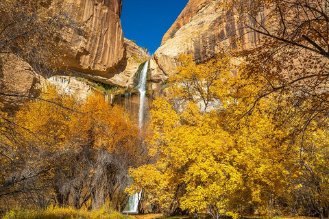 USA- Utah- Grand Staircase Escalante National Monument. Landscape with Lower Calf Creek Falls. Black Ornate Wood Framed Art Print with Double Matting by Jaynes Gallery