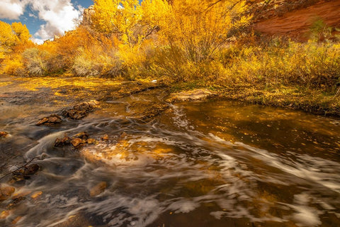 USA- Utah- Calf Creek Recreation Area in autumn. Black Ornate Wood Framed Art Print with Double Matting by Jaynes Gallery