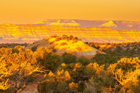 USA- Utah- Grand Staircase Escalante National Monument. Sunrise on cliff and valley. Black Ornate Wood Framed Art Print with Double Matting by Jaynes Gallery