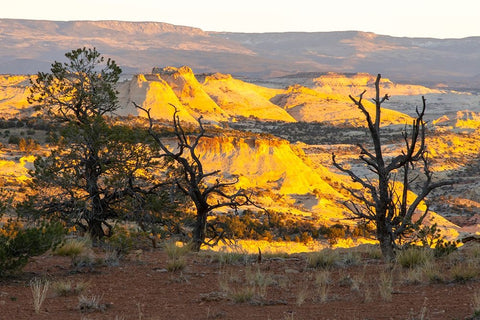USA- Utah- Grand Staircase Escalante National Monument. Sunrise on eroded cliffs and valley. Black Ornate Wood Framed Art Print with Double Matting by Jaynes Gallery