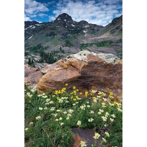 Wildflowers and Dromedary Peak-Twin Peaks Wilderness-Wasatch Mountains near Salt Lake City-Utah-USA Black Modern Wood Framed Art Print with Double Matting by Garber, Howie