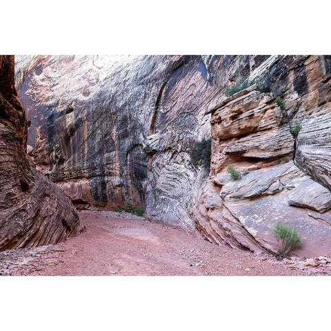 USA-Utah-Grand Wash-Capitol Reef National Park Black Modern Wood Framed Art Print by Davidson, Janell