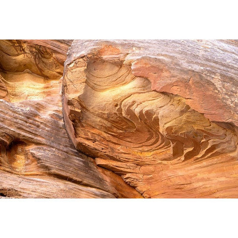 USA-Utah-Grand Wash-Capitol Reef National Park Close-up of rock pattern Gold Ornate Wood Framed Art Print with Double Matting by Davidson, Janell