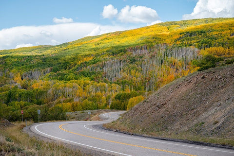 USA-Utah Highway winding through Dixie National Forest-Aspen Fall colors Black Ornate Wood Framed Art Print with Double Matting by Davidson, Janell