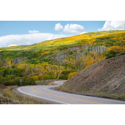 USA-Utah Highway winding through Dixie National Forest-Aspen Fall colors Black Modern Wood Framed Art Print by Davidson, Janell