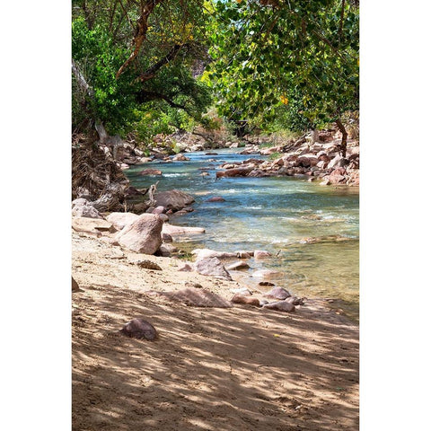 USA-Utah-Virgin River-Zion National Park Black Modern Wood Framed Art Print by Davidson, Janell