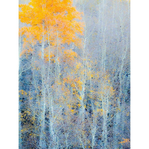 Utah-Logan Pass Autumn colors in Logan Pass Utah Black Modern Wood Framed Art Print by Eggers, Julie