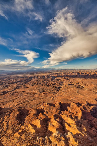Needles Overlook-Canyonlands National Park-Utah Black Ornate Wood Framed Art Print with Double Matting by Ford, John