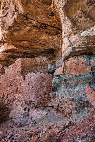 Little Westwater Ruin-Canyonlands National Park-Utah Black Ornate Wood Framed Art Print with Double Matting by Ford, John