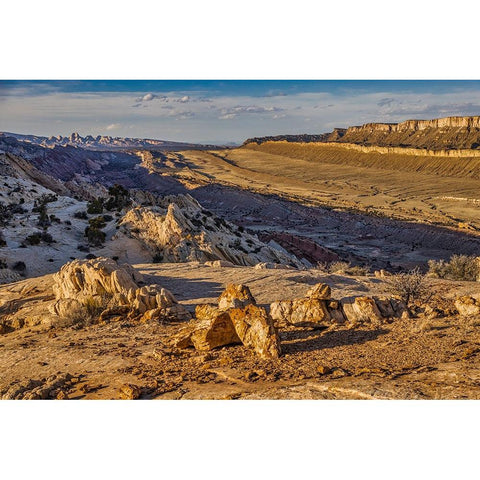 Strike Valley Outlook-Escalante-Utah Gold Ornate Wood Framed Art Print with Double Matting by Ford, John