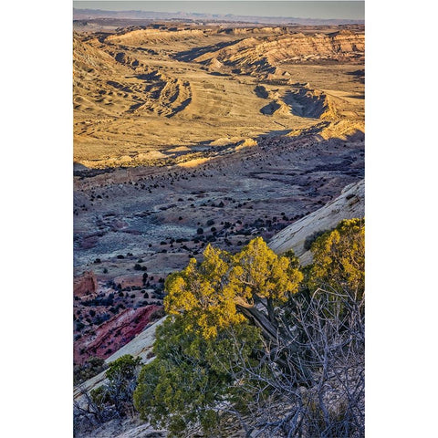 Strike Valley Outlook-Escalante-Utah Gold Ornate Wood Framed Art Print with Double Matting by Ford, John