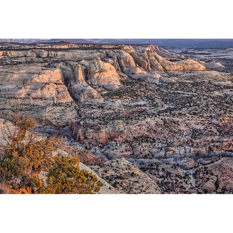 Slickrock-Escalante-Utah White Modern Wood Framed Art Print by Ford, John