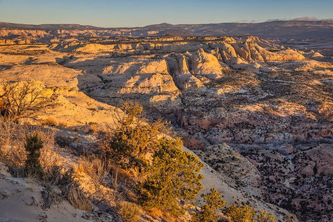 Slickrock-Escalante-Utah White Modern Wood Framed Art Print with Double Matting by Ford, John
