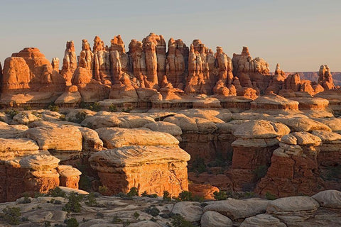 UT-Canyonlands National Park-The Needle Rock spires and grabens at Chester Park Black Ornate Wood Framed Art Print with Double Matting by Wild, Jamie and Judy