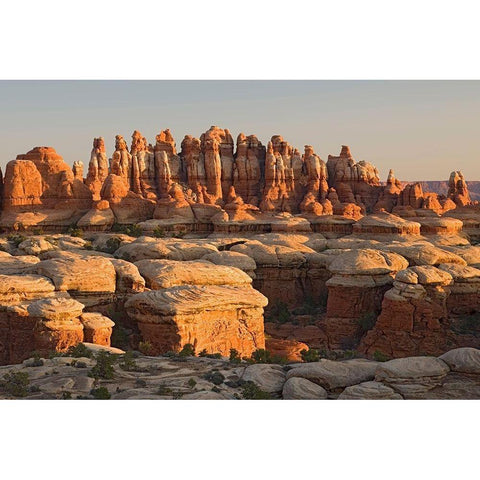 UT-Canyonlands National Park-The Needle Rock spires and grabens at Chester Park Black Modern Wood Framed Art Print by Wild, Jamie and Judy