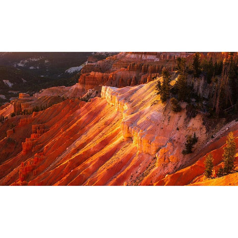 Evening light on Cedar Breaks-Cedar Breaks National Monument-Utah-USA Black Modern Wood Framed Art Print by Bishop, Russ
