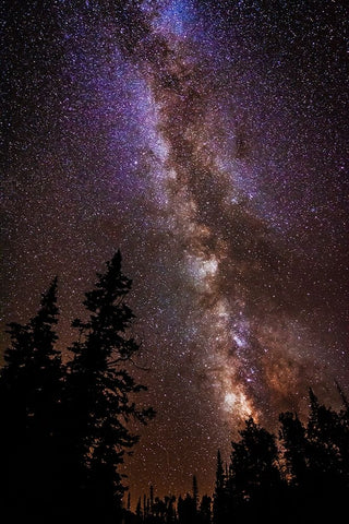 Milky Way over Cedar Breaks National Monument-Utah-USA Black Ornate Wood Framed Art Print with Double Matting by Bishop, Russ