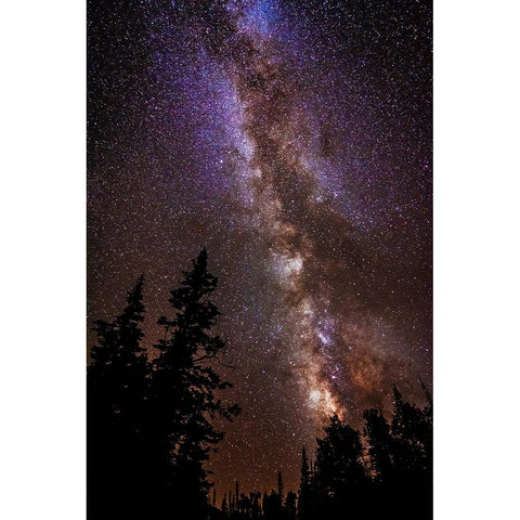 Milky Way over Cedar Breaks National Monument-Utah-USA Black Modern Wood Framed Art Print by Bishop, Russ