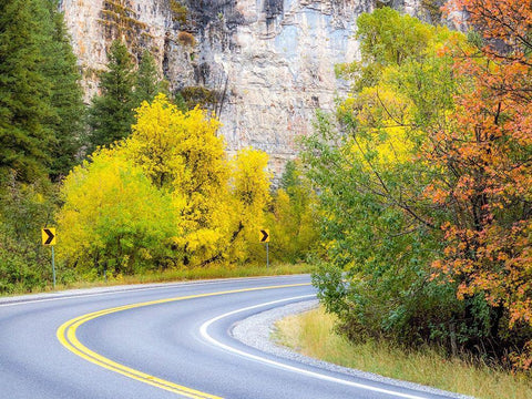 Utah-Logan Pass and highway 89 fall color with Aspen and Maple Trees White Modern Wood Framed Art Print with Double Matting by Gulin, Sylvia