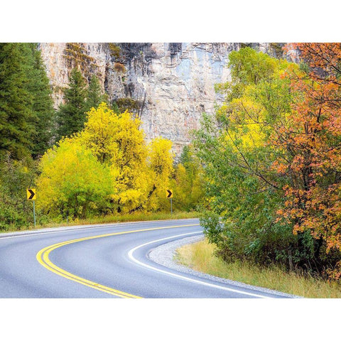 Utah-Logan Pass and highway 89 fall color with Aspen and Maple Trees Black Modern Wood Framed Art Print by Gulin, Sylvia