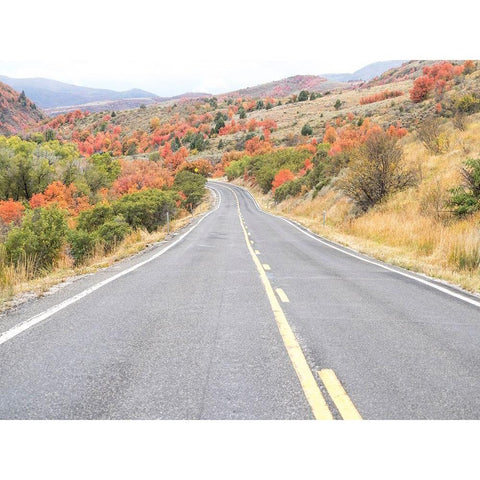 Utah Highway 39 heading west out of Wasatch Mountains with Autumn colors Black Modern Wood Framed Art Print by Gulin, Sylvia