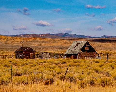 USA-Utah-old wooden barn and shed along highway 39 west of Woodruff Black Ornate Wood Framed Art Print with Double Matting by Gulin, Sylvia