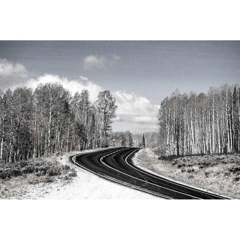 USA-Utah-west of Woodruff aspen trees along highway 39 Black Modern Wood Framed Art Print with Double Matting by Gulin, Sylvia