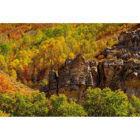 USA-Utah-Highway 89 and canyon walls of Logan pass with fall colors Black Modern Wood Framed Art Print by Gulin, Sylvia