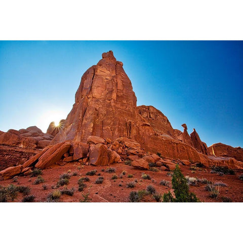 Arches National Park evening light-USA-Utah White Modern Wood Framed Art Print by Eggers, Terry