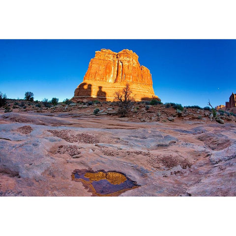 Arches National Park evening light-USA-Utah Gold Ornate Wood Framed Art Print with Double Matting by Eggers, Terry