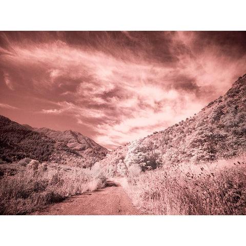 USA-Utah-Infrared of backroad in the Logan Pass area Gold Ornate Wood Framed Art Print with Double Matting by Eggers, Terry