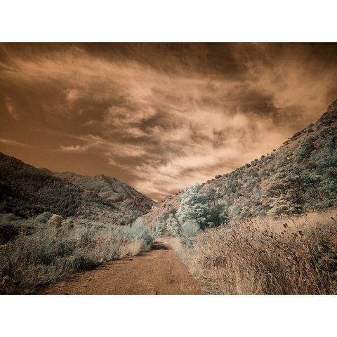 USA-Utah-Infrared of backroad in the Logan Pass area Black Modern Wood Framed Art Print with Double Matting by Eggers, Terry