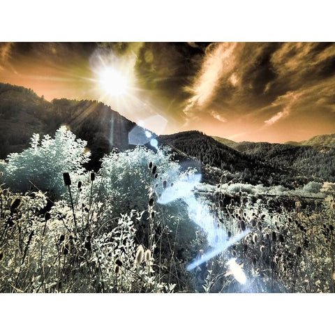 USA-Utah-Infrared of the Logan Pass area with sunrays Black Modern Wood Framed Art Print with Double Matting by Eggers, Terry