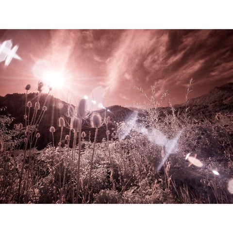 USA-Utah-Infrared of the Logan Pass area with sunrays Black Modern Wood Framed Art Print by Eggers, Terry