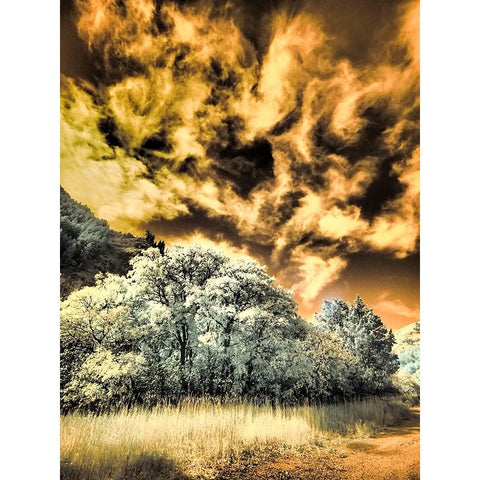 USA-Utah-Infrared of the Logan Pass area and lone tree Black Modern Wood Framed Art Print by Eggers, Terry